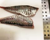 【基本】鯵の捌き方から刺身まで一部始終作り方29写真