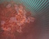 カレーの残りで簡単☆ほかほかカレー鍋♪作り方2写真