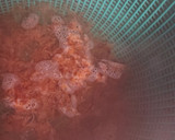 カレーの残りで簡単☆ほかほかカレー鍋♪作り方2写真