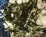 かつおのたたき●シンプルな漬け丼作り方2写真