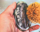 95℃ 美肌◎煮鮑（あわび）濃厚肝ソース作り方4写真