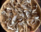 干し舞茸*天日干し1日で旨味と香りアップ作り方4写真