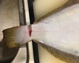 ヒラメの刺身と昆布締め作り方3写真