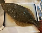 ヒラメの刺身と昆布締め作り方5写真