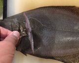 ヒラメの刺身と昆布締め作り方7写真