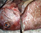 説明丁寧♪鯛から捌く♪鯛の昆布締め♪作り方5写真