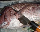 説明丁寧♪鯛から捌く♪鯛の昆布締め♪作り方4写真