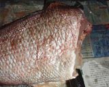 説明丁寧♪鯛から捌く♪鯛の昆布締め♪作り方6写真