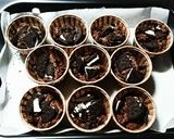 HM♥️簡単 オレオのチョコマフィン作り方5写真