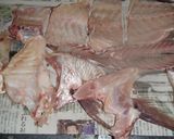 説明丁寧♪鯛から捌く♪鯛の昆布締め♪作り方12写真