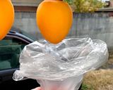 干し柿の作り方(あたご柿）とっても甘い作り方6写真