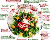 ベリーメリークリスマスディナー☆犬ごはん作り方30写真