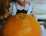 リカちゃん♡みかんぶり?サッパリサラダꕤ作り方1写真
