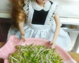 リカちゃん♡みかんぶり?サッパリサラダꕤ作り方9写真