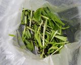 水菜のピリ辛塩こんぶ和え作り方4写真