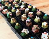 ポリクック簡単料理『贈り物の味噌玉』冷凍作り方11写真