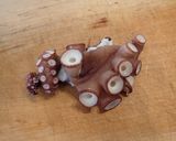マダコの刺身作り方10写真