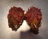 ホヤねぎポン酢作り方1写真