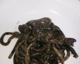LOVE東村山黒焼きそばソース焼きうどん作り方2写真