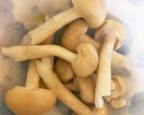 全てレンジ胸肉と根菜のオーロラソース蒸煮作り方8写真