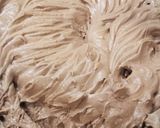チョコレートクリームデコレーションケーキ作り方24写真