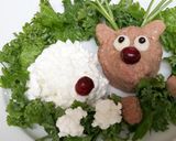 メリーメリークリスマスディナー☆犬ごはん作り方26写真