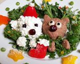 メリーメリークリスマスディナー☆犬ごはん作り方28写真