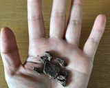 簡単 汚れない ズボラなチョコの砕き方作り方3写真