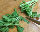 豚ひき肉と白菜は今日もまた二人罪を重ね煮作り方17写真