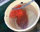 生マダコの刺身作り方2写真