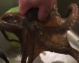 生マダコの刺身作り方3写真