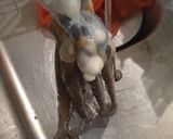 生マダコの刺身作り方5写真