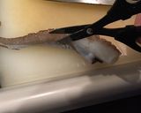 生マダコの刺身作り方10写真