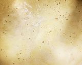 〈鶏肉のクリームコロッケ〉作り方5写真