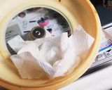アジの南蛮漬け作り方5写真
