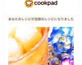 おうち麦茶作り方25写真