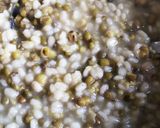 緑豆ともち麦のぜんざい作り方3写真