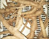 四角豆の根っこのサラダ作り方1写真