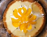 ダイマックス！イーヴイのクリスマスケーキ作り方10写真