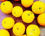 てづくりゆず酒作り方1写真