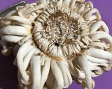 便利！ぶなしめじの切り方作り方1写真