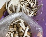 便利！ぶなしめじの切り方作り方4写真