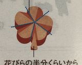 【参の重】梅ニンジン作り方1写真