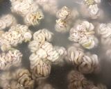 白子の柚子風味 酢の物作り方2写真