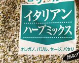 簡単☆マッシュルームのアヒージョ作り方4写真