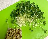 カブとエビのくず煮作り方5写真