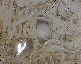 熟成!シラウオの塩昆布和え作り方1写真