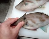 コウモリの肝和え作り方2写真