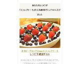 水切ヨーグルトでXmasにスコップケーキ作り方8写真