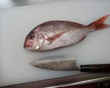 鯛のお造り作り方1写真